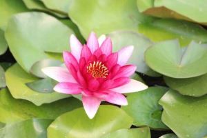 网站关键词优化什么意思，eo网站关键词优化是什么